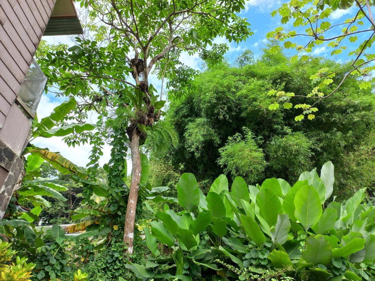 Sunrise House Bed & Breakfast เกโปส ภายนอก รูปภาพ